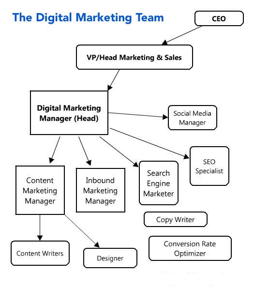 Digital Marketing team hierarchy