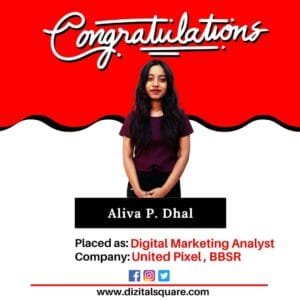 Aliva - Digital Marketing Plcement